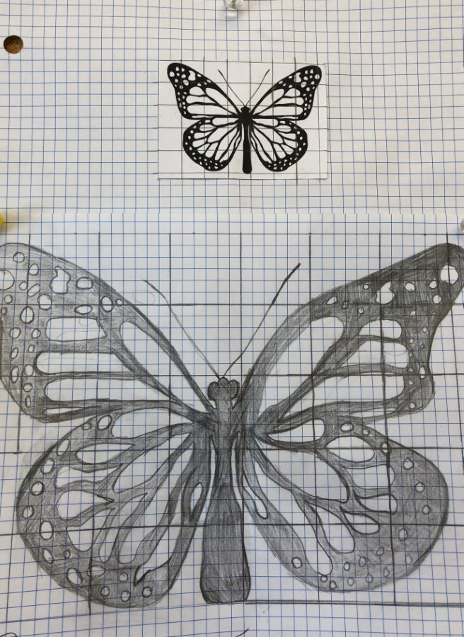 grid scaling of butterflies